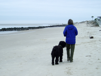 Woman and Dog on Beach